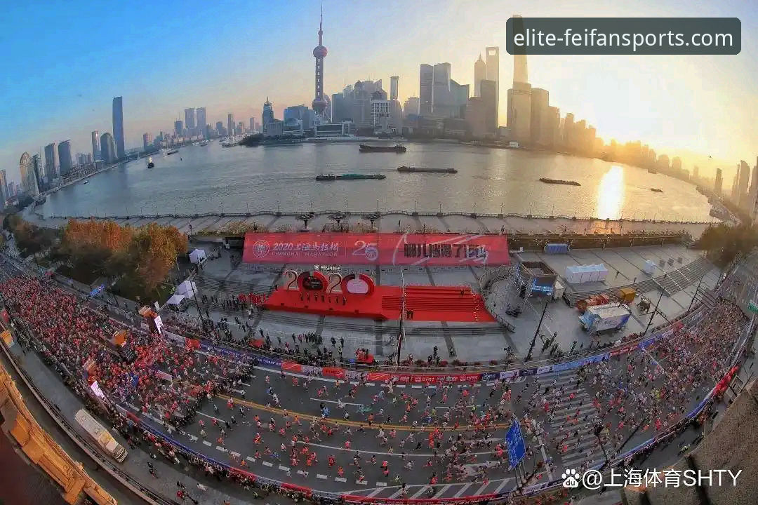 非凡体育平台正规性解析与实用指南：资深用户分享真实体验